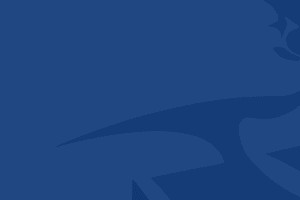 电竞比分-平度分赛场观赛指南、互动活动重磅来袭~